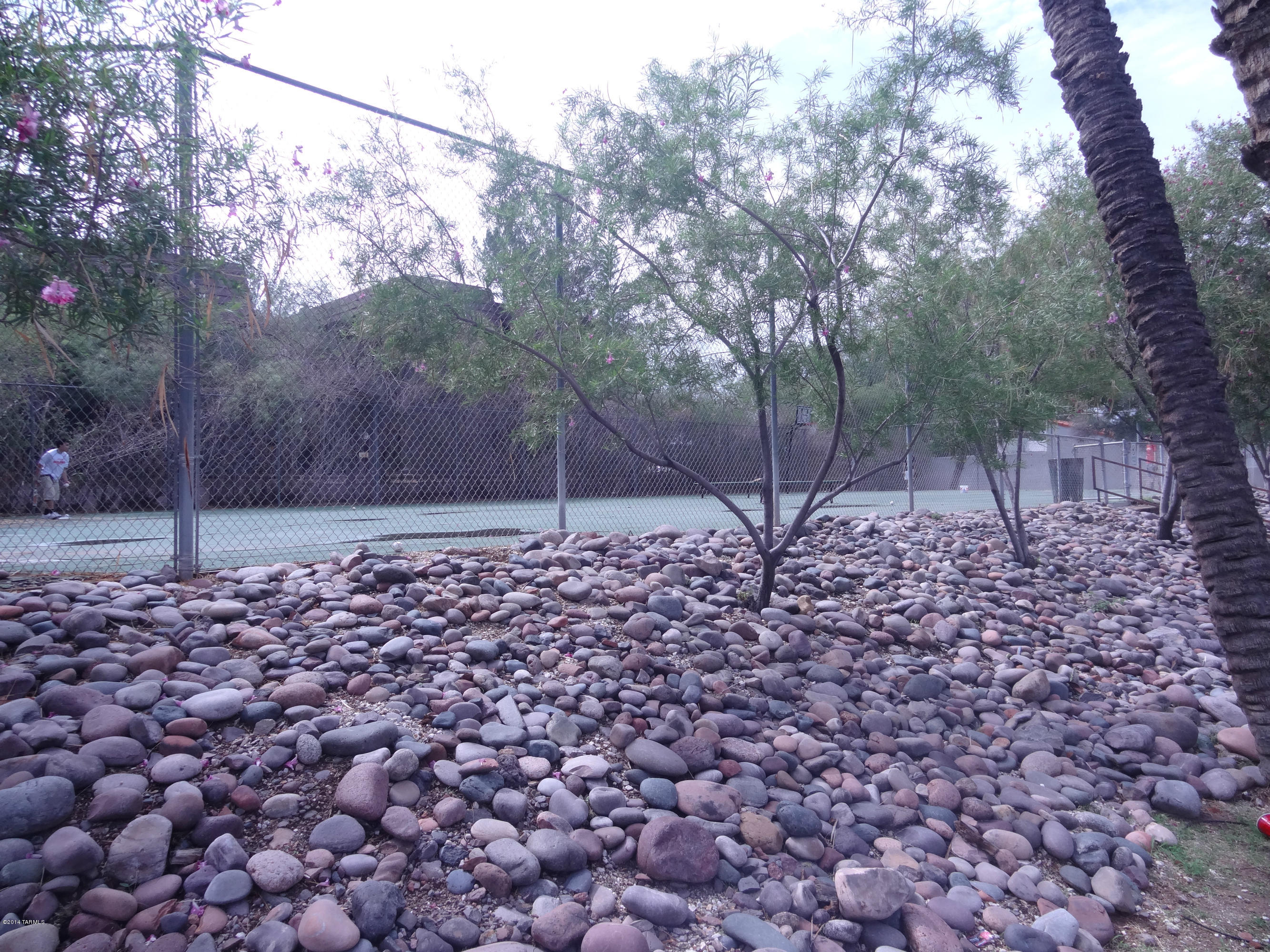 2779 West Anklam Road, Unit C Tucson, AZ 85745 - Photo 22 of 24 Gallery Image 22