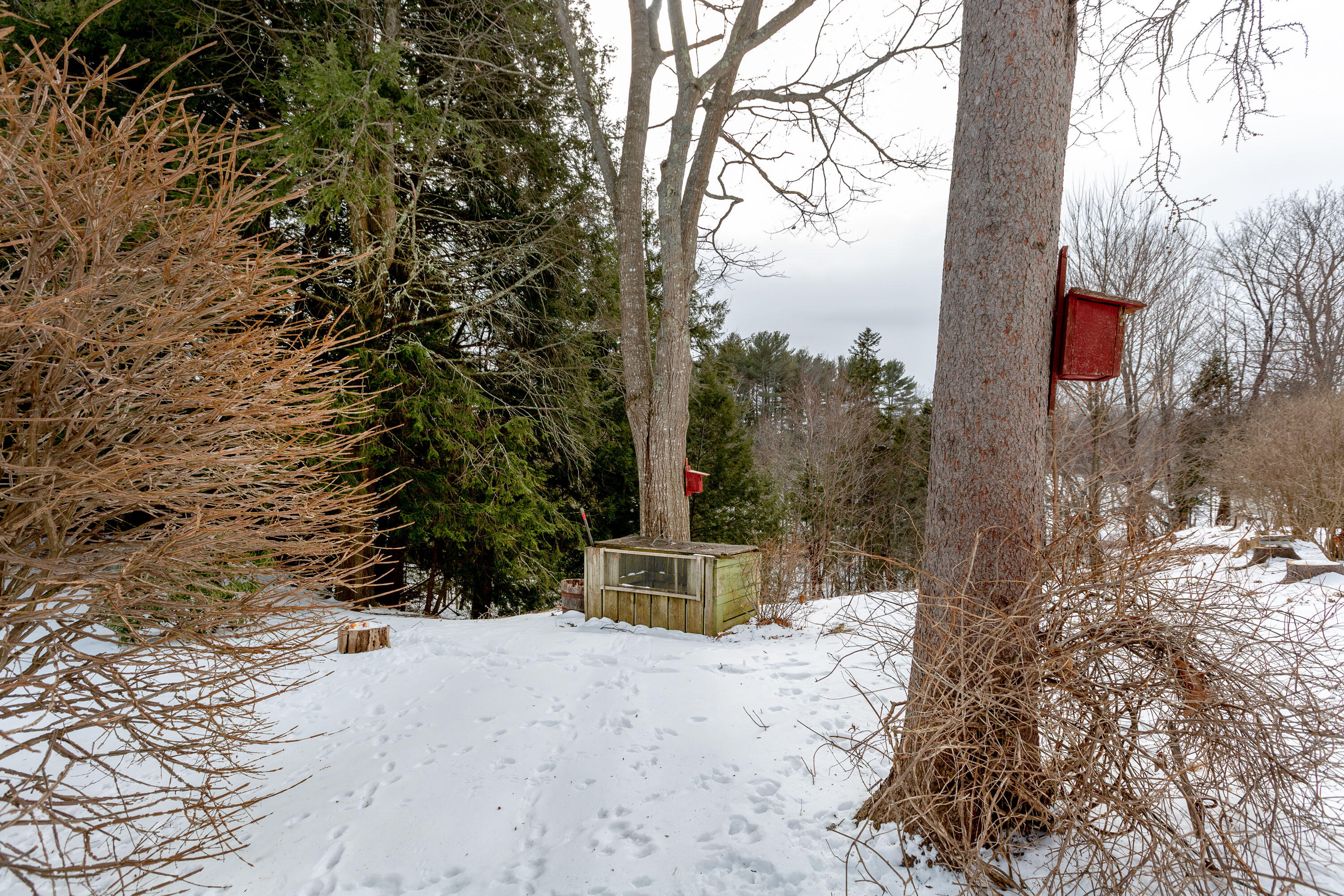 29 Hacker Road Brunswick, ME 04011 - Photo 67 of 73 Hacker_Ellsworth_66