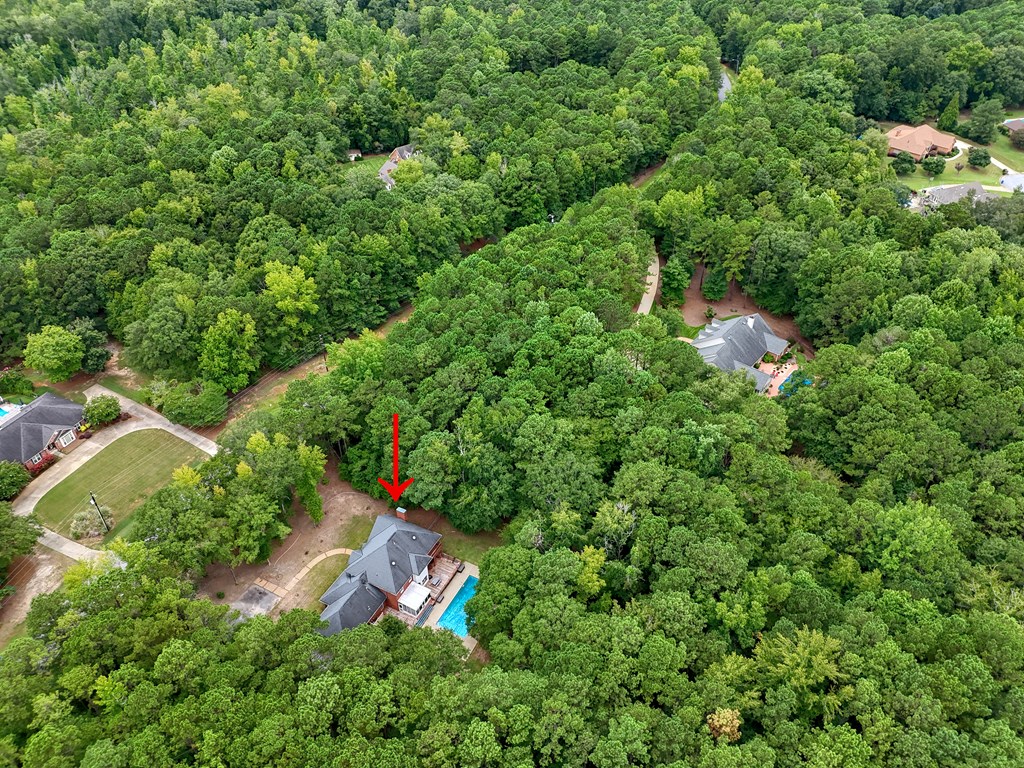 5135 Midland Trace Midland, GA 31820 - Photo 58 of 66 an aerial view of residential house with outdoor space and trees all around