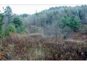 0 Stoney Brook Road Stockbridge, VT 05772 - Photo 2 of 2 Gallery Image 2