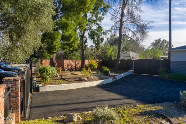 a view of yard with tree in back