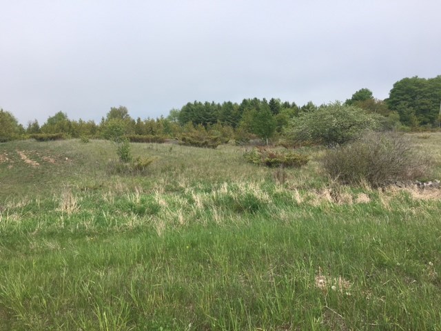 Bechtel Road Sturgeon Bay, WI 54235 - Photo 12 of 12