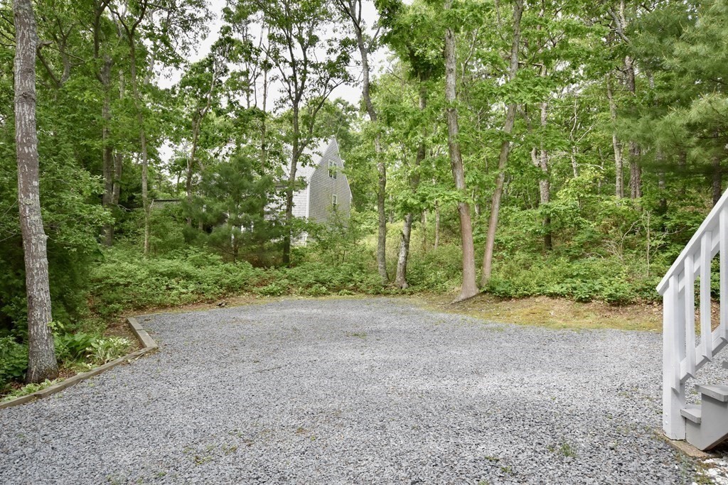 29 Tecumseh Road Bourne, MA 02562 - Photo 6 of 28 a view of a yard with plants and trees