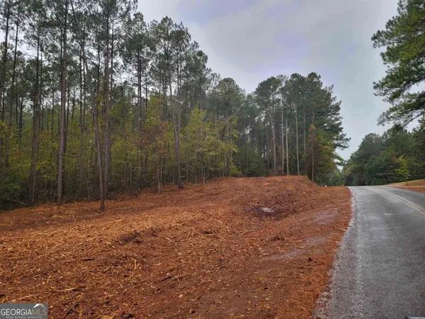 $140,200 | 14-acres Lamars Mill Road, Flovilla, GA 30216