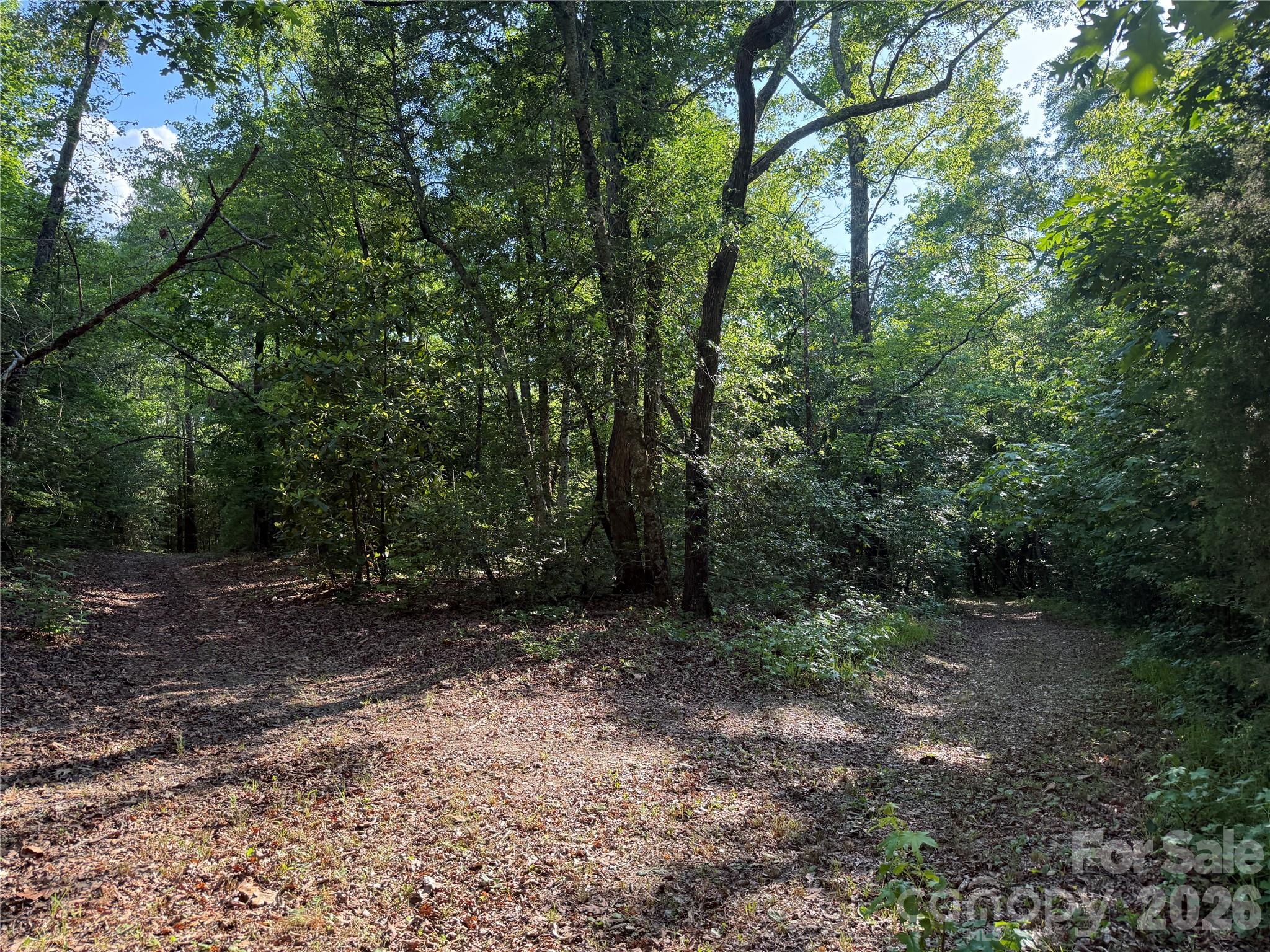 Tbd Murray Manor Lane Rockingham, NC 28379 - Photo 4 of 20