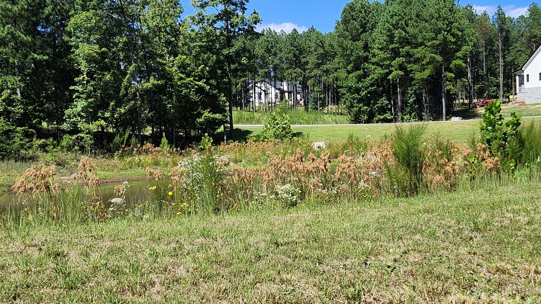 705 Crockett Loop Jasper, TN 37347 - Photo 15 of 31 a view of a garden