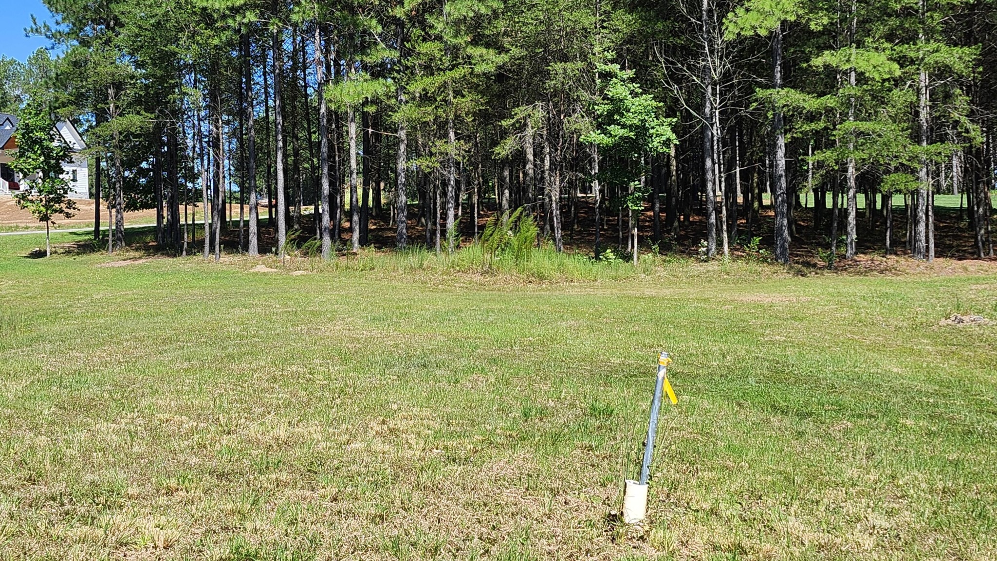 705 Crockett Loop Jasper, TN 37347 - Photo 16 of 31 a backyard of a house with lots of green space
