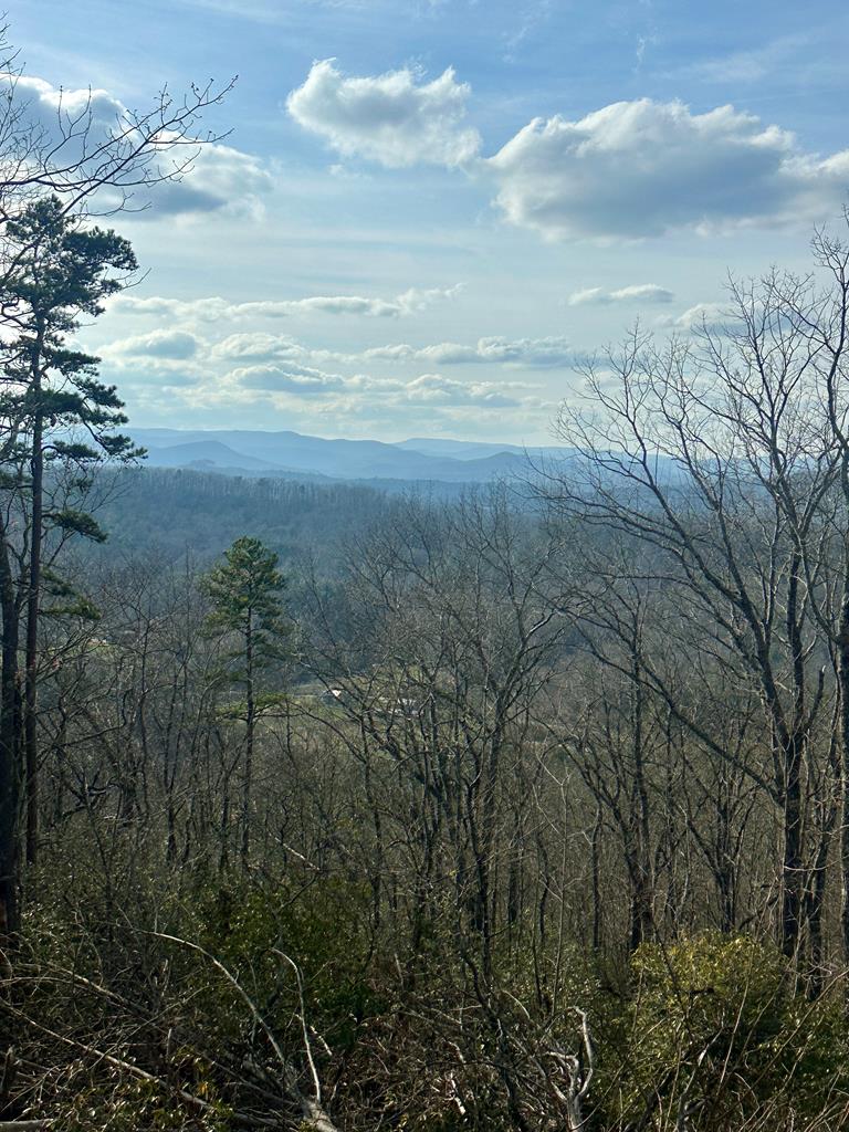 Lot 5 Blue Horizon Drive Blue Ridge, GA 30513 - Photo 15 of 18 Gallery Image 15
