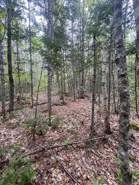 11-2 Bangor Road Linneus, ME 04730 - Photo 24 of 38 IMG_5142