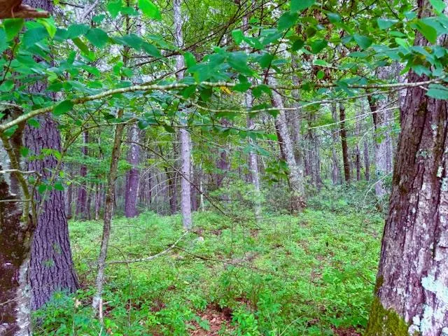 $45,000 | Lot 41 Leers Road, Glen Spey, NY 12737