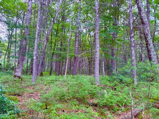 $45,000 | Lot 41 Leers Road, Glen Spey, NY 12737