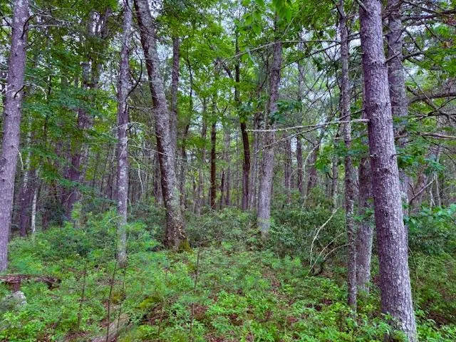 $45,000 | Lot 41 Leers Road, Glen Spey, NY 12737