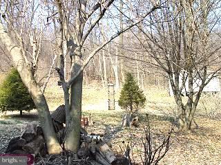 12 West Neversink Road Reading, PA 19606 - Photo 6 of 6 Gallery Image 6
