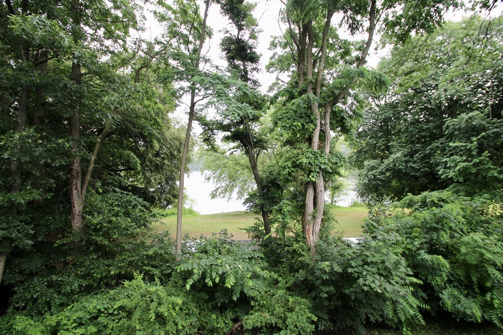 103 Lake Shore Road, Unit 4 Boston, MA 02135 - Photo 14 of 14