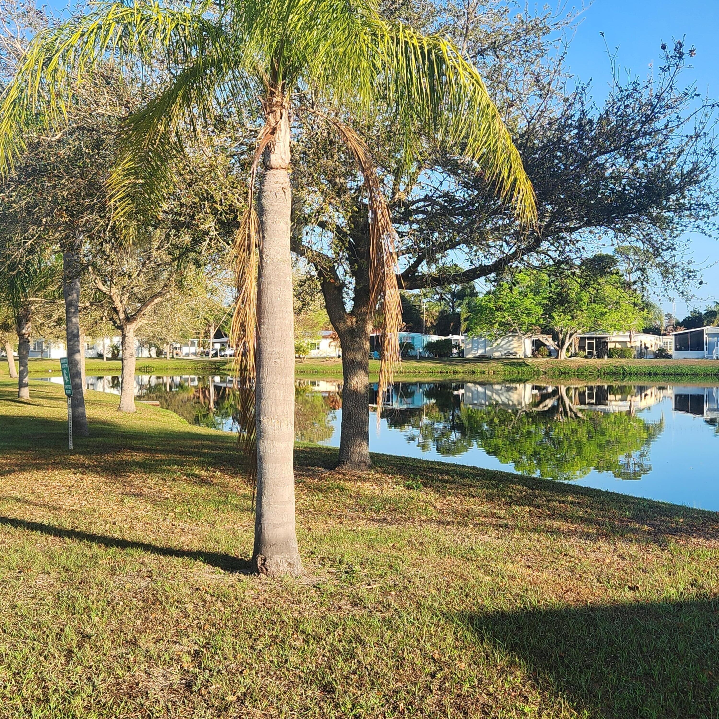 98 Camino Del Rio Port St. Lucie, FL 34952 - Photo 58 of 60 a view of a street with a large trees