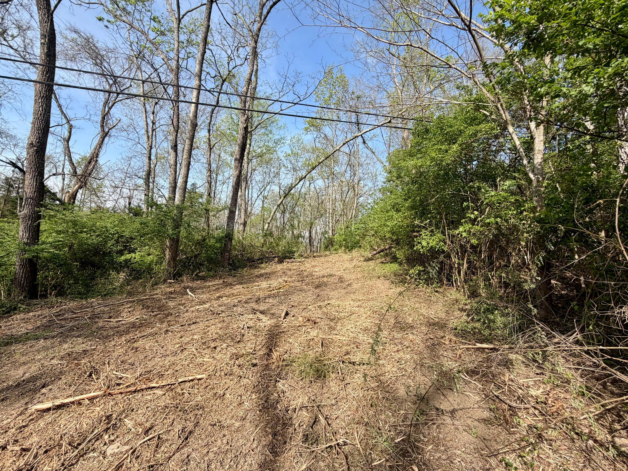 24 East Union Road Carlisle, KY 40311 - Photo 33 of 52 Trail