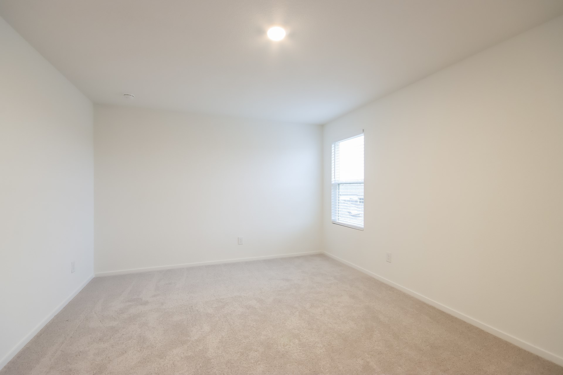 31428 Moore Road Magnolia, TX 77354 - Photo 9 of 15