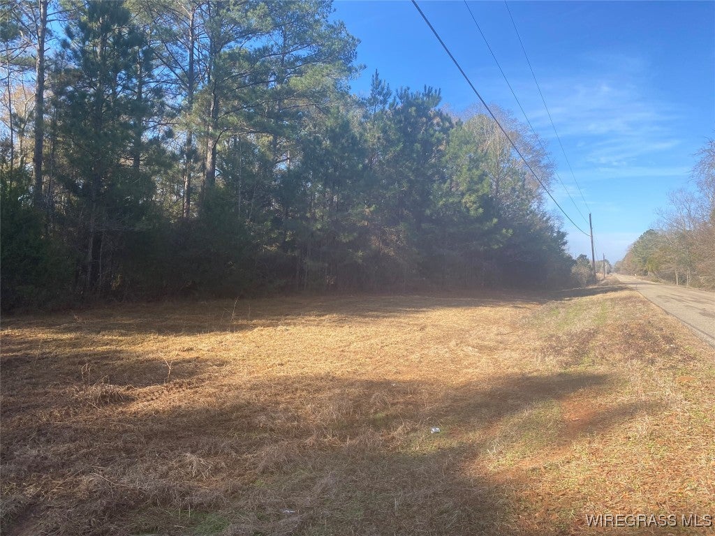 675 Lessie Culpepper Road Coffee Springs, AL 36318 - Photo 6 of 18 Gallery Image 6