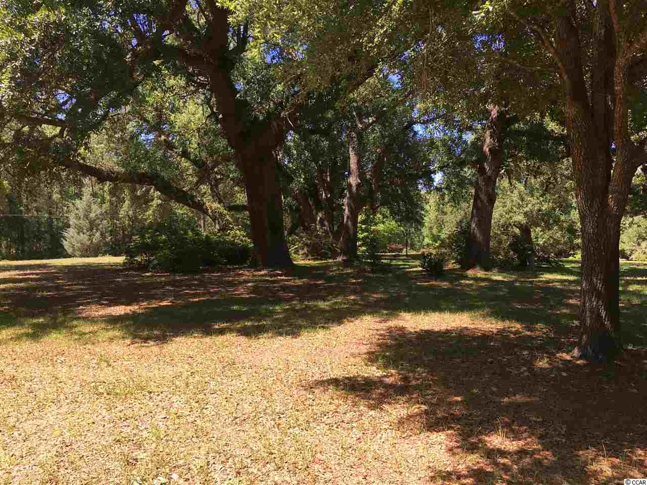 188 Mingo Chandler Road Nesmith, SC 29580 - Photo 5 of 19