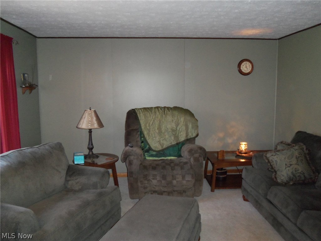 1785 North Ridge Road Vermilion, OH 44089 - Photo 4 of 35