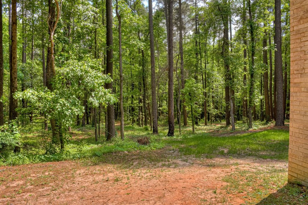 2012 Riding Ring Court Hephzibah, GA 30815 - Photo 45 of 49