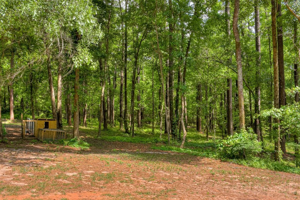2012 Riding Ring Court Hephzibah, GA 30815 - Photo 46 of 49