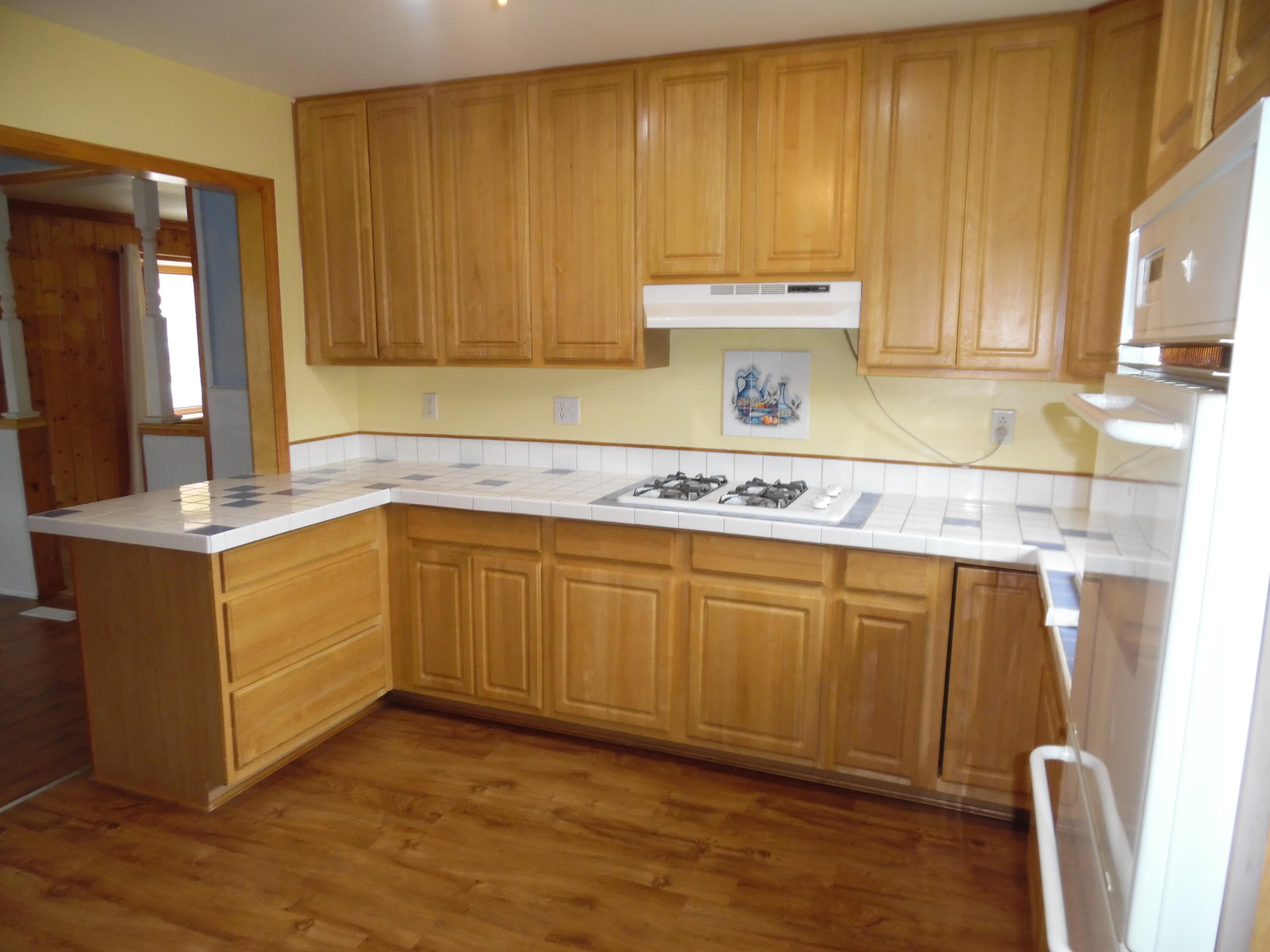 216 Miller Drive Albion, MI 49224 - Photo 3 of 24 SAM_6205