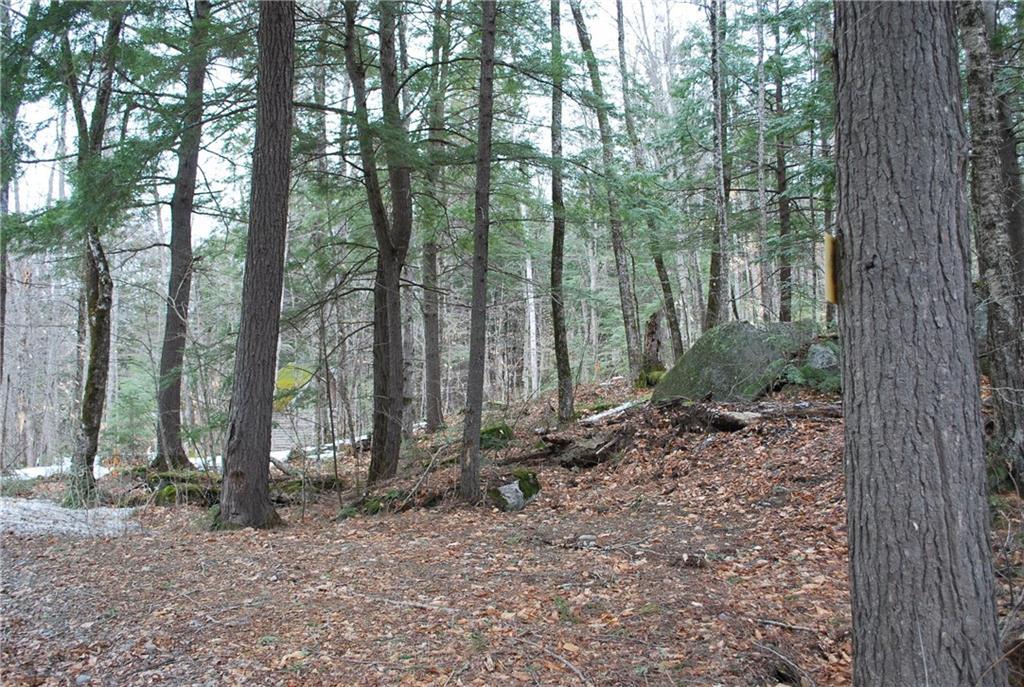 713 Pond Road St. Albans, ME 04971 - Photo 31 of 35 Photo