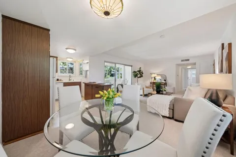 a living room with furniture flowerpot and wooden floor