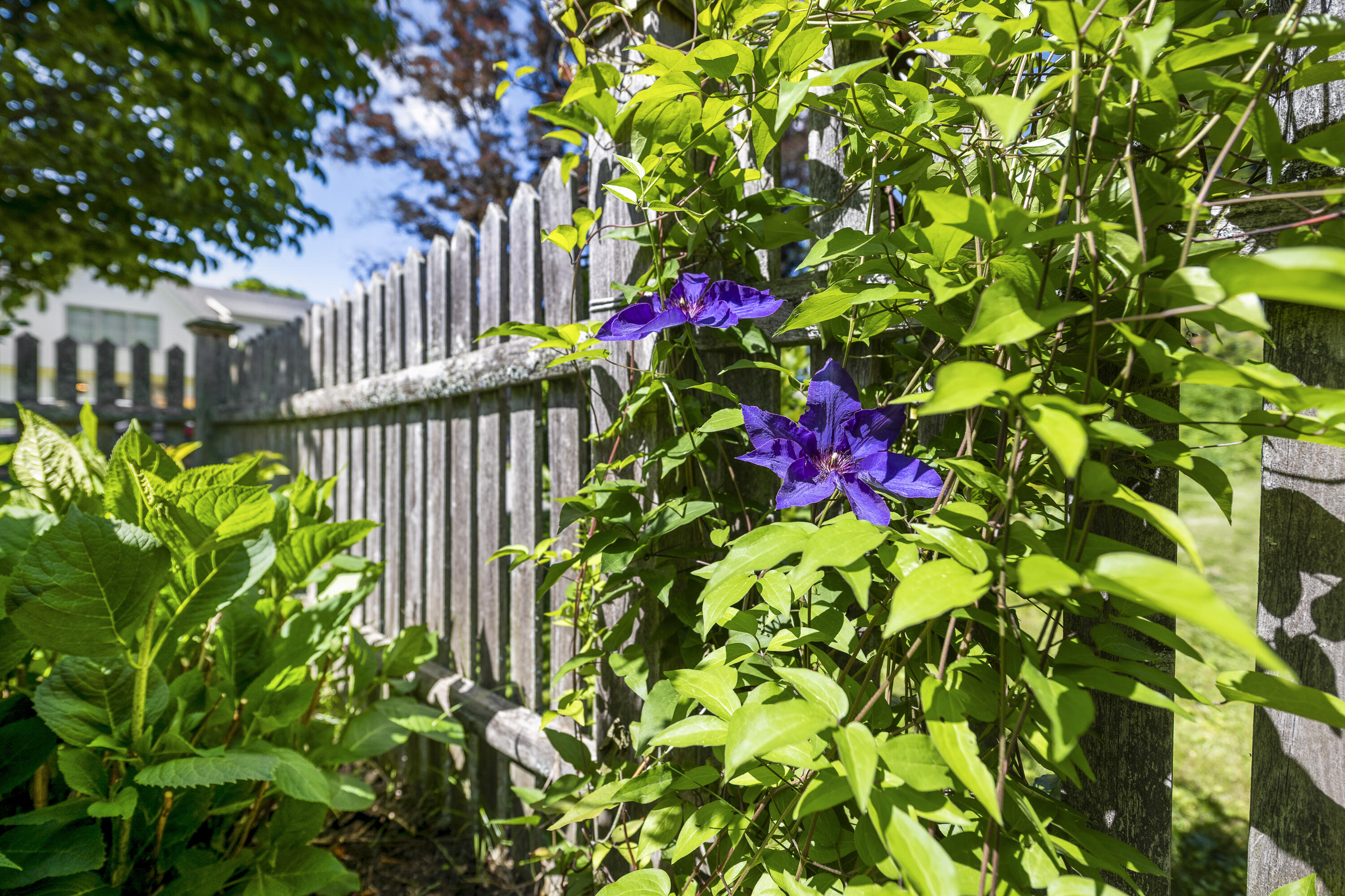 66 Parsons Road Portland, ME 04103 - Photo 24 of 30 31-66 Parsons Rd, Portland, ME-TP