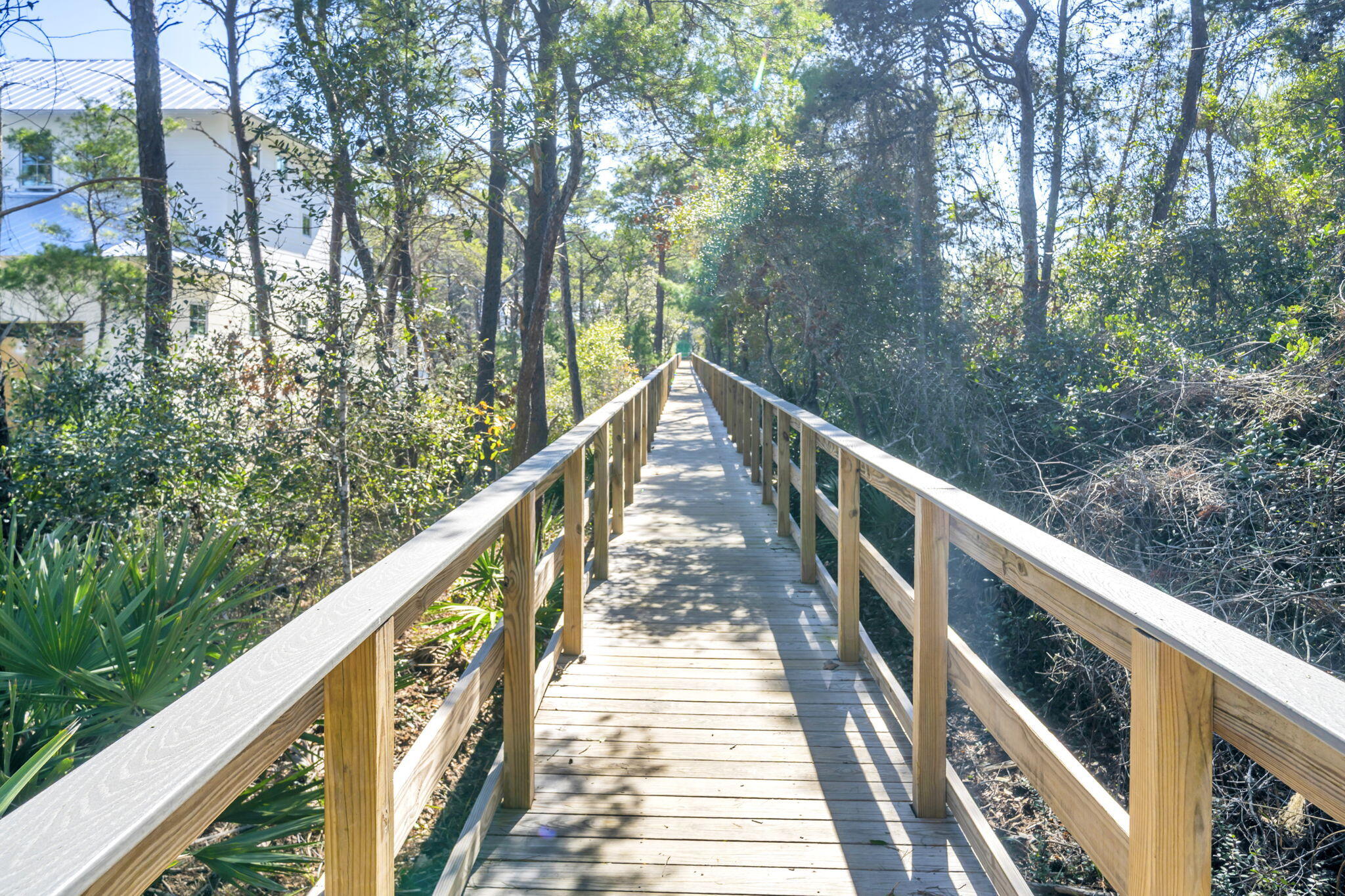 Lot 6 Morgans Trail Santa Rosa Beach, FL 32459 - Photo 9 of 42 37-web-or-mls-69-print-DSC07165