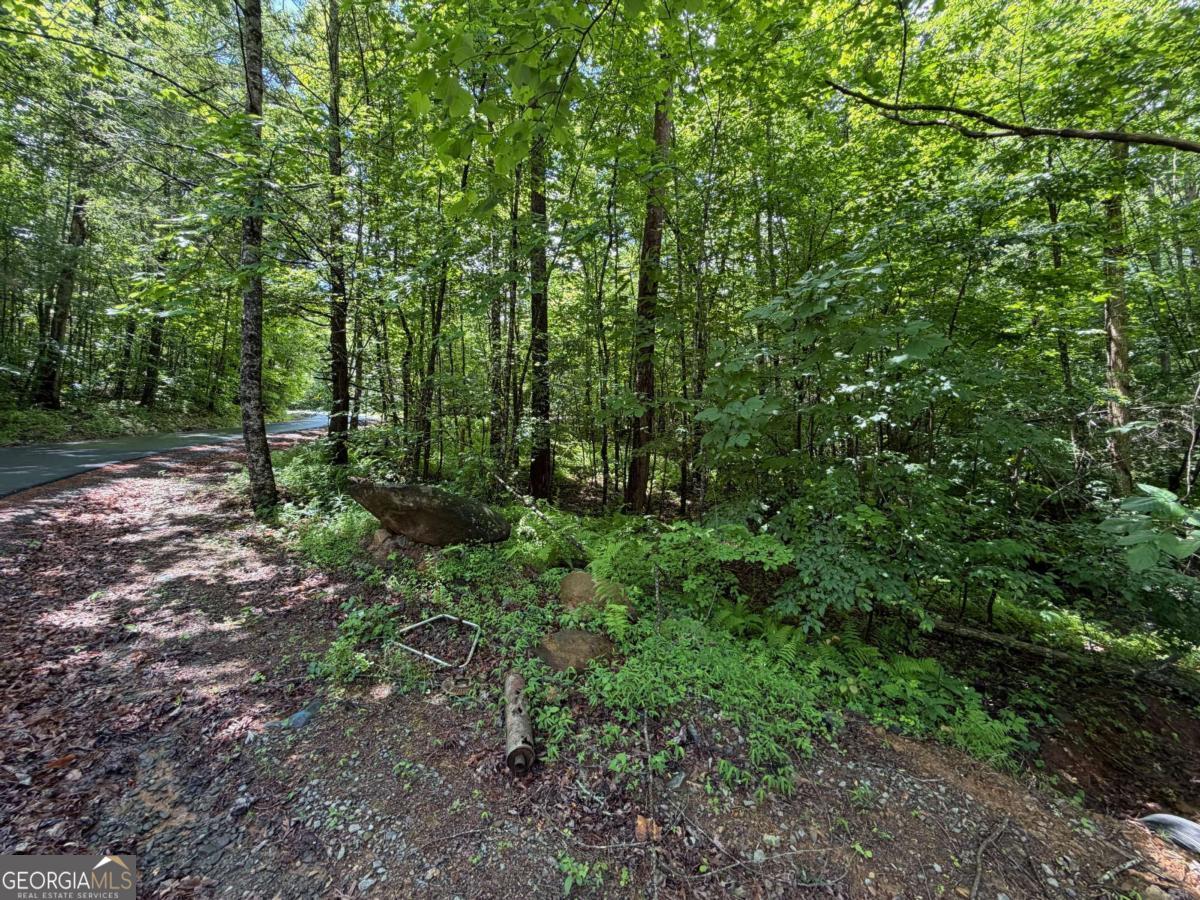 2.75-ac Quail Ridge Road Epworth, GA 30541 - Photo 1 of 12
