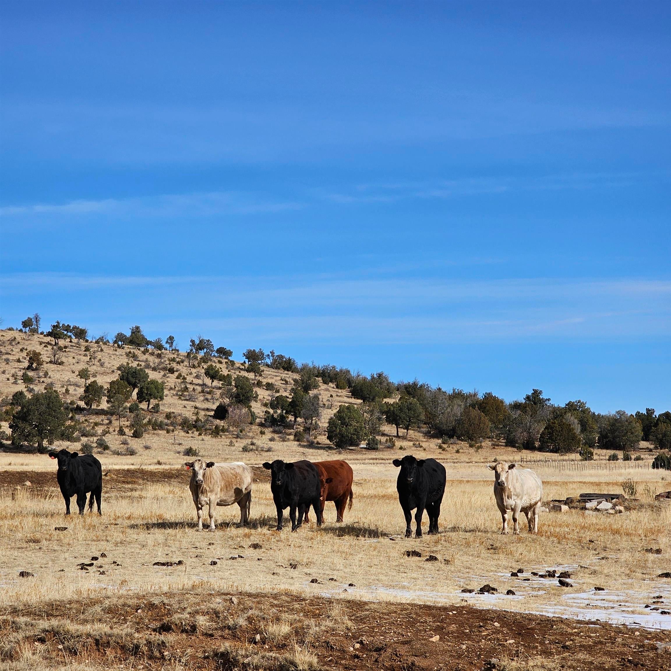 0 Miller Flats Road Mayhill, NM 88339 - Photo 29 of 39 Gallery Image 29