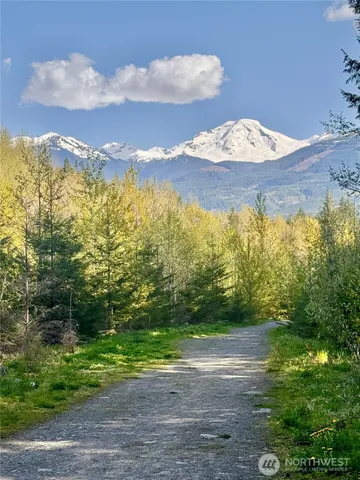 a view of a lake in between two of trees