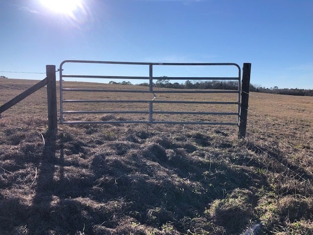 163.38-ac Cravey Bridge Road Florala, AL 36442 - Photo 20 of 49 Gallery Image 20