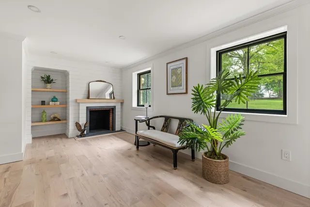 a living room with furniture and a potted plant