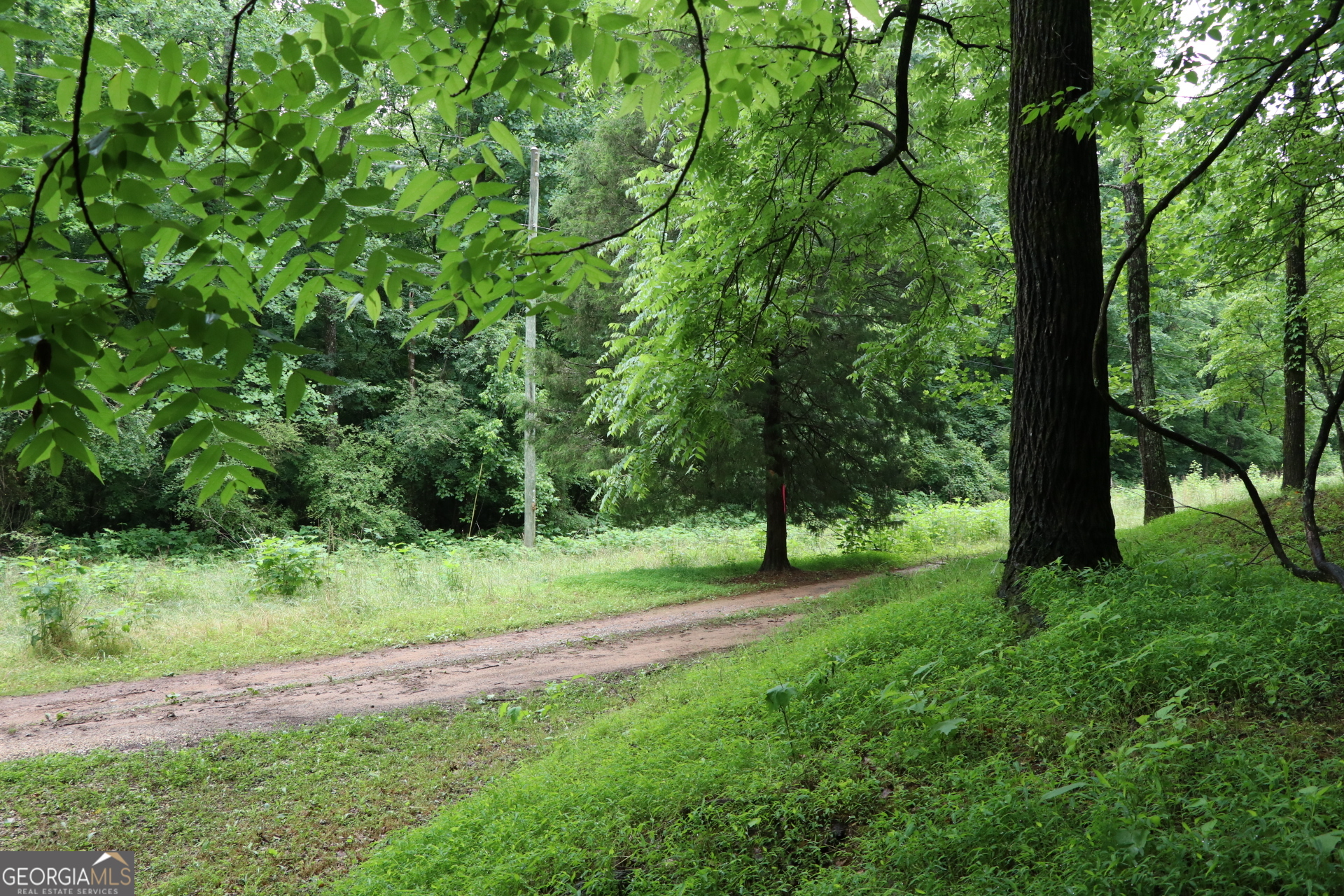 833 Neal Gap Road Summerville, GA 30747 - Photo 51 of 86