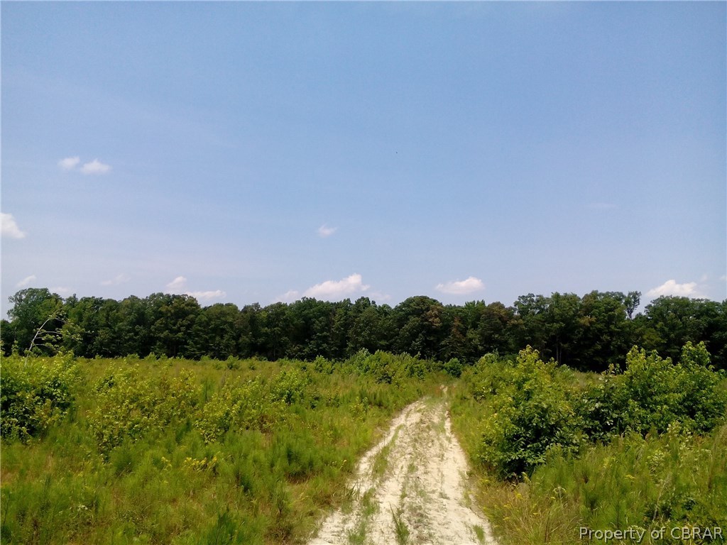 275-ac Spring Garden Road Center Cross, VA 22437 - Photo 5 of 11 Gallery Image 5