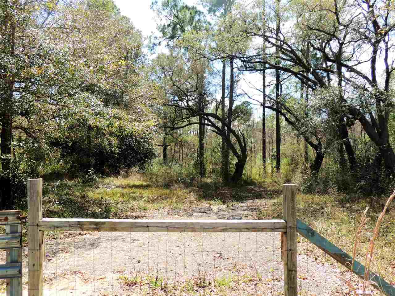 715 East Olive Road Pensacola, FL 32514 - Photo 4 of 7 Gallery Image 4