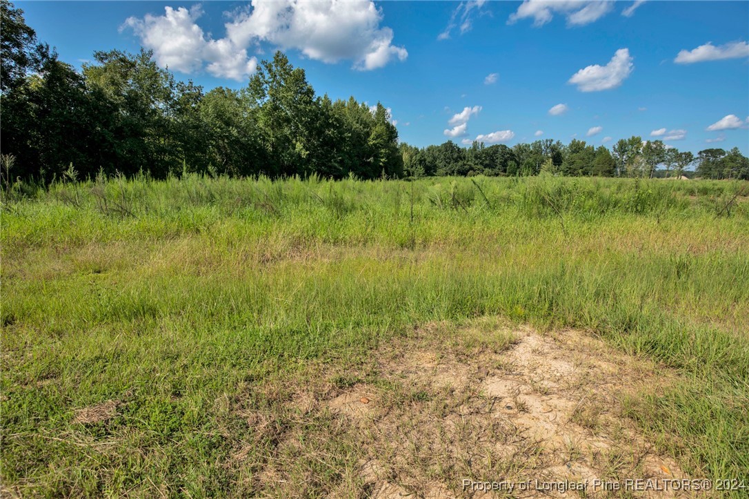 3 Hayes Road Spring Lake, NC 28390 - Photo 2 of 21 Gallery Image 2