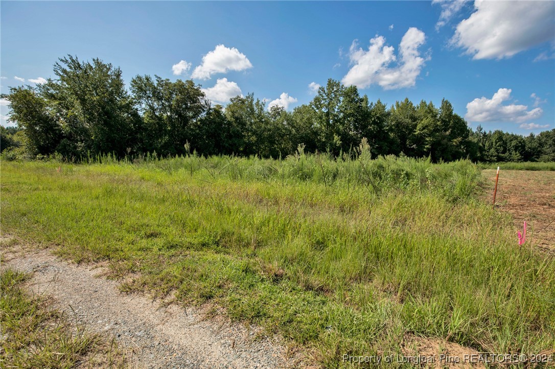 3 Hayes Road Spring Lake, NC 28390 - Photo 4 of 21 Gallery Image 4