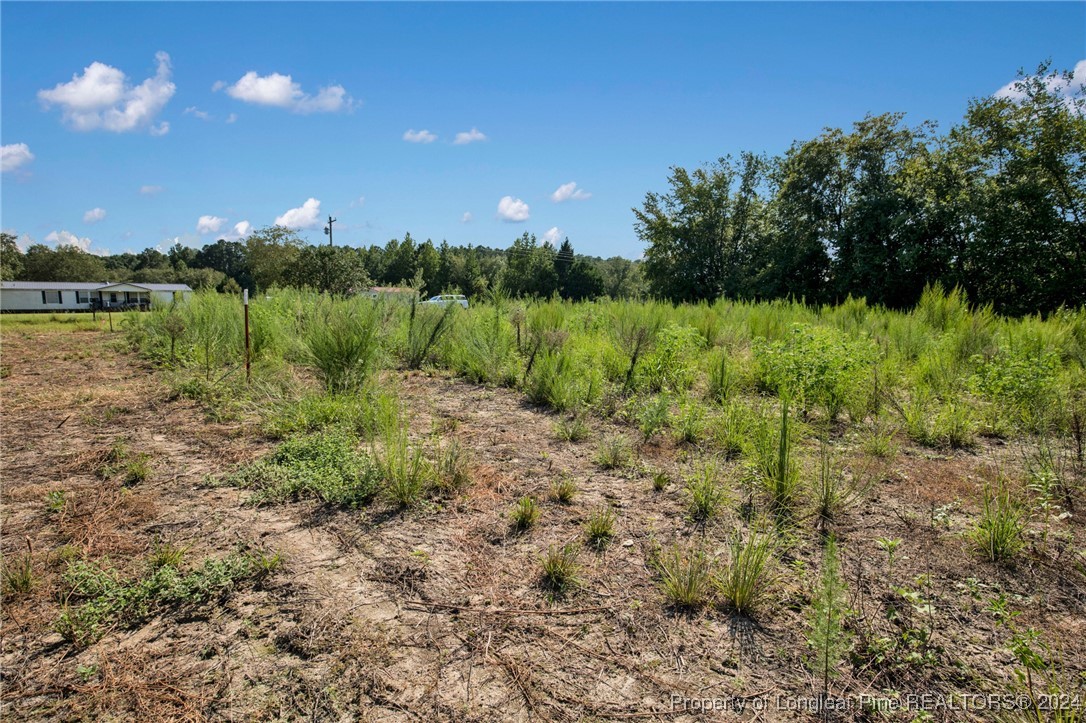 3 Hayes Road Spring Lake, NC 28390 - Photo 8 of 21 Gallery Image 8