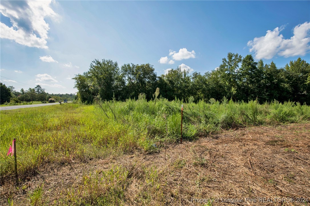 3 Hayes Road Spring Lake, NC 28390 - Photo 9 of 21 Gallery Image 9