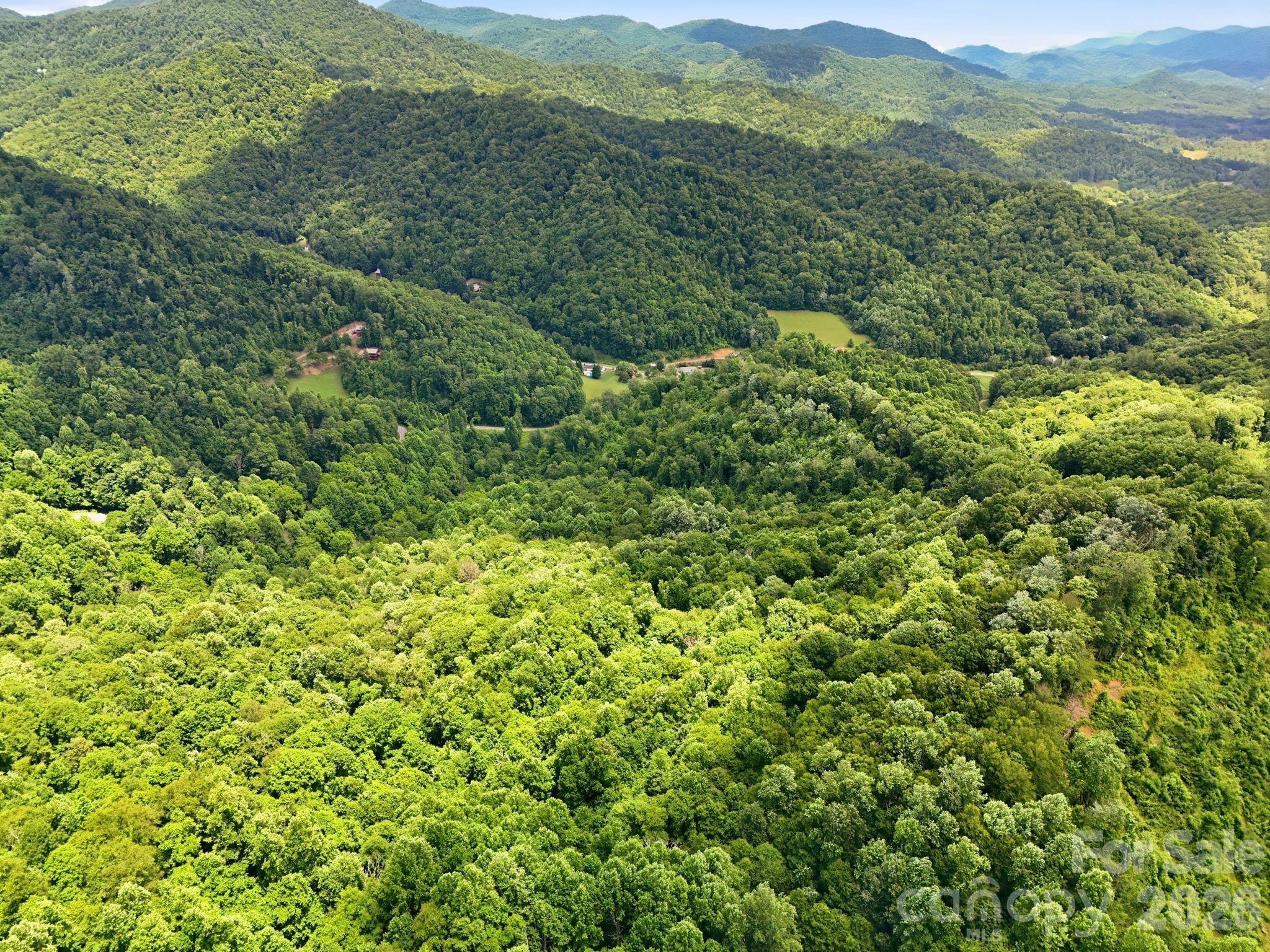Tbd Windy Gap Road, Unit TRACT B Mars Hill, NC 28754 - Photo 11 of 13