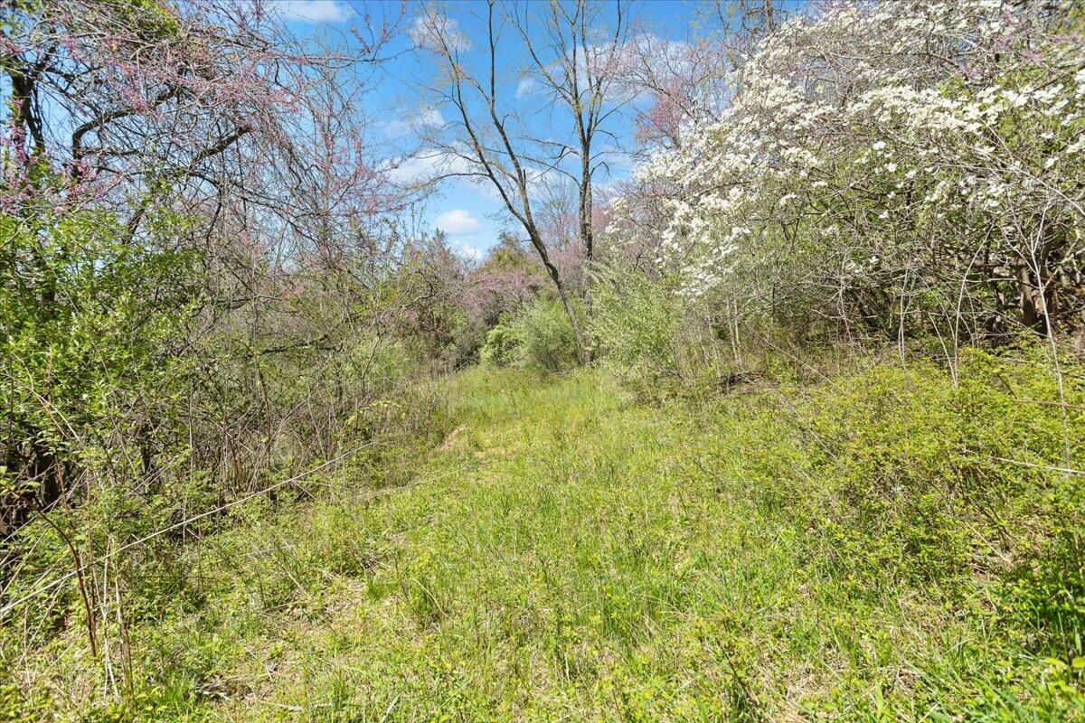 489 Arch Mill Road Buchanan, VA 24066 - Photo 50 of 66 52-489 Arch Mill Rd._52