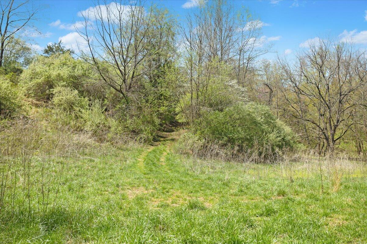 489 Arch Mill Road Buchanan, VA 24066 - Photo 52 of 66 54-489 Arch Mill Rd._54