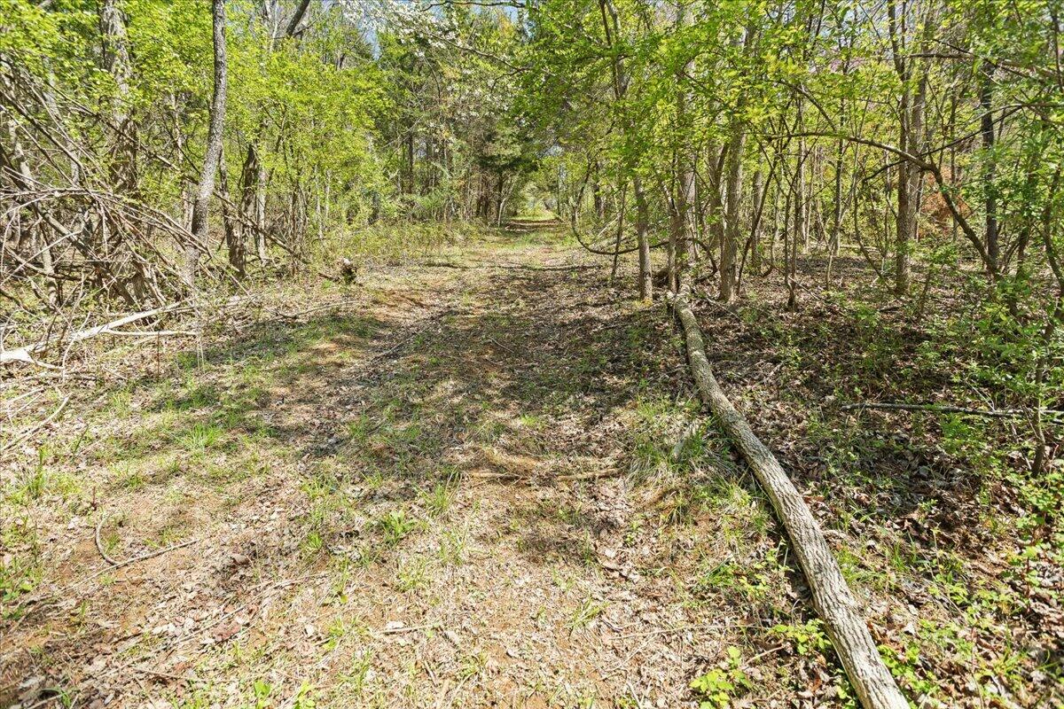489 Arch Mill Road Buchanan, VA 24066 - Photo 54 of 66 56-489 Arch Mill Rd._56