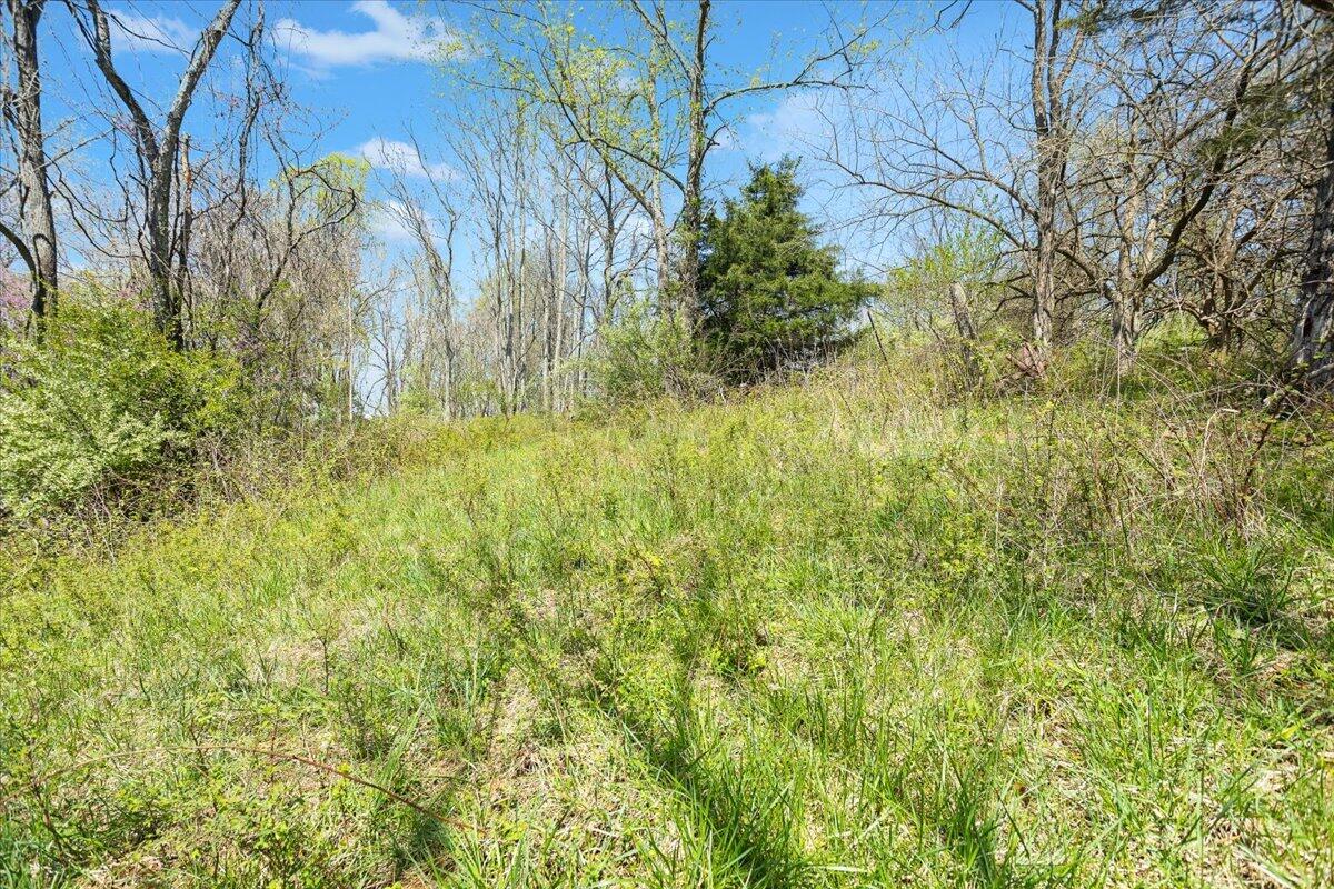 489 Arch Mill Road Buchanan, VA 24066 - Photo 56 of 66 58-489 Arch Mill Rd._58