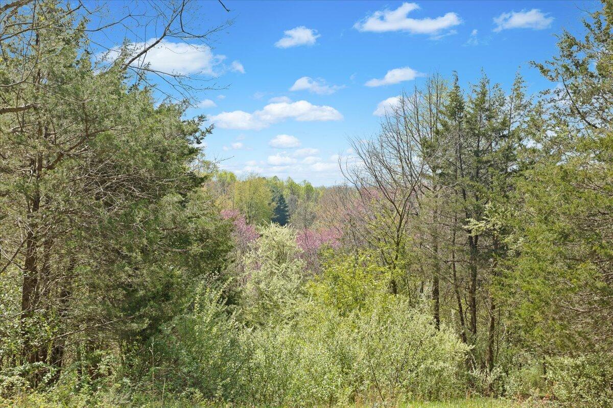 489 Arch Mill Road Buchanan, VA 24066 - Photo 57 of 66 59-489 Arch Mill Rd._59