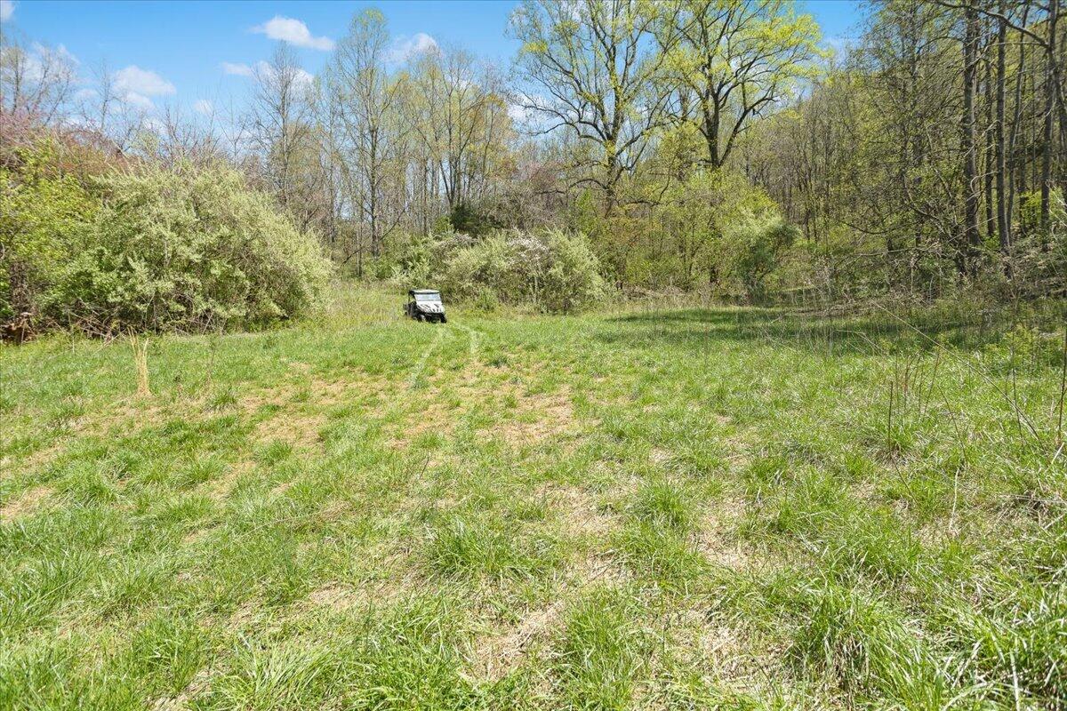 489 Arch Mill Road Buchanan, VA 24066 - Photo 58 of 66 60-489 Arch Mill Rd._60